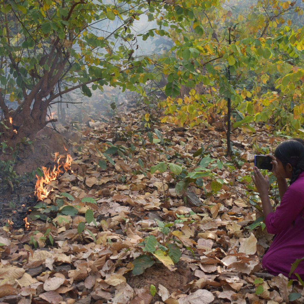 Une jeune fille prenant une photo d’un feu de feuilles sèches dans une forêt, illustrant un reportage sur l’impact des incendies sur l’environnement.