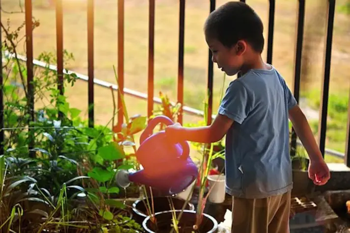 enfant-jardine-potager-1-1-1-1-1-1-1-1-1-1-1-1.webp
