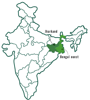 Image d'une cartographie de l'Inde